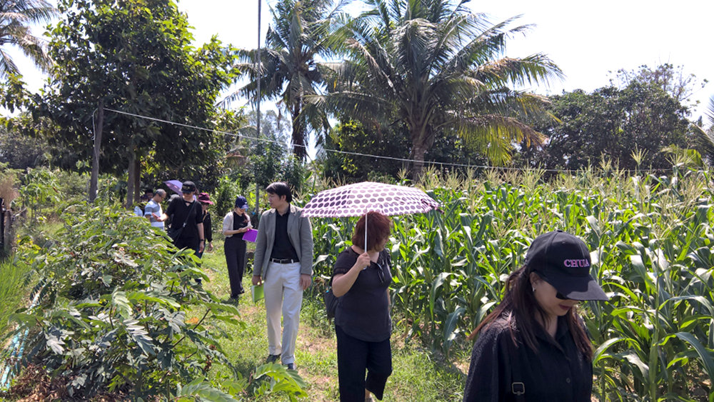 ภาพที่ 5