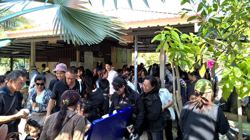 ภาพที่ 8