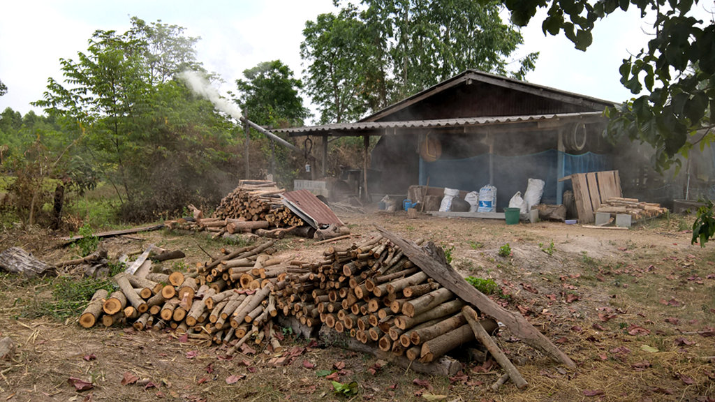 ภาพที่ 1