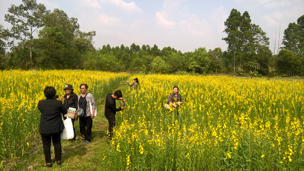 ภาพที่ 13