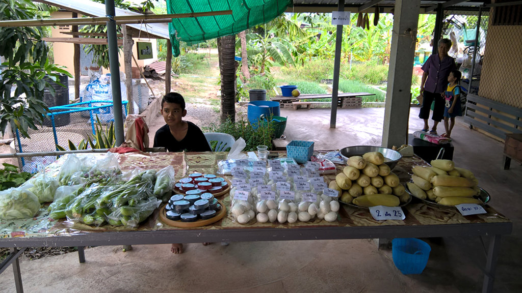 ภาพที่ 1