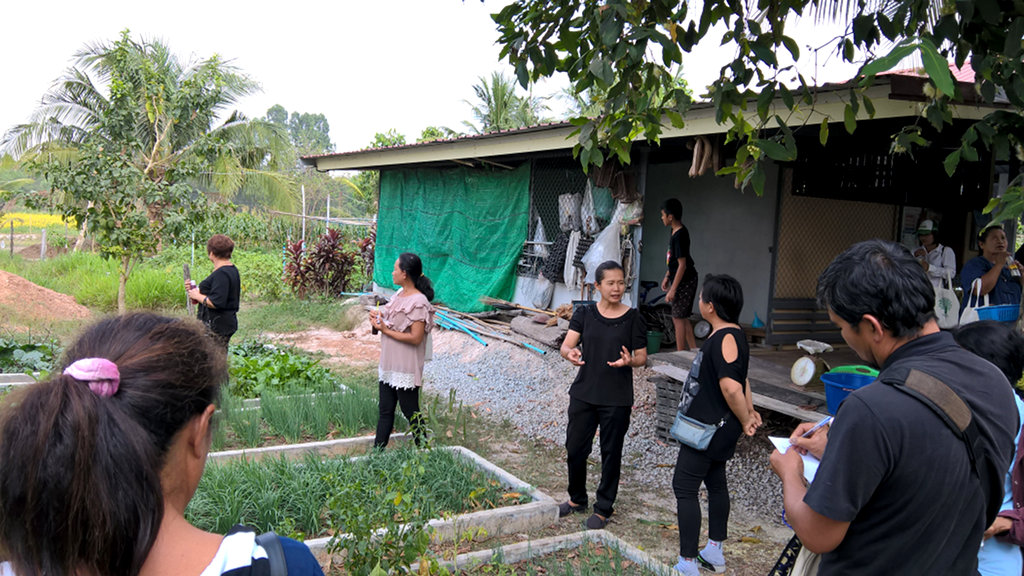 ภาพที่ 10