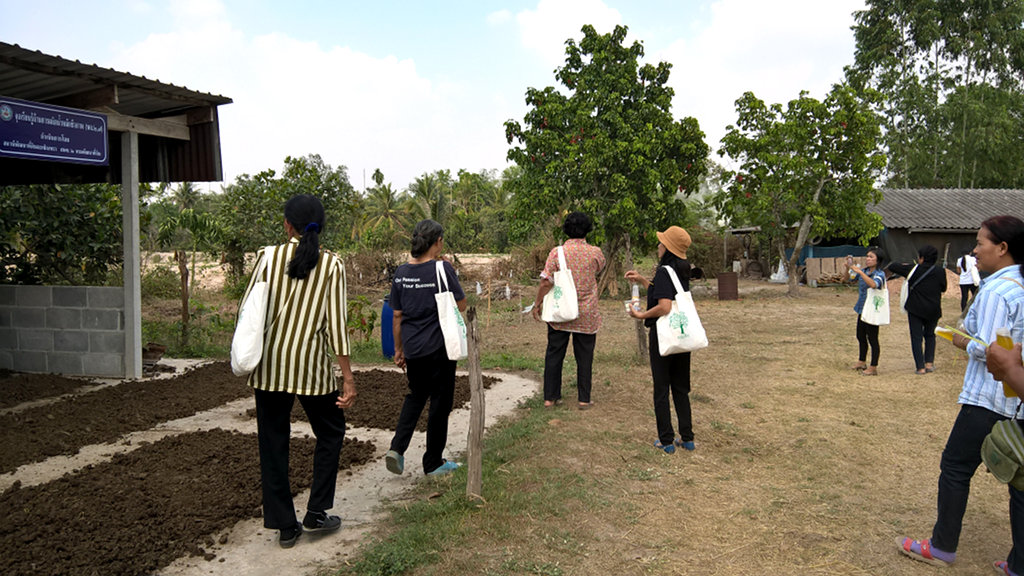 ภาพที่ 11