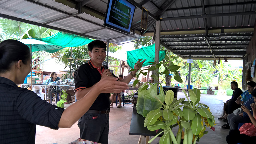 ภาพที่ 4