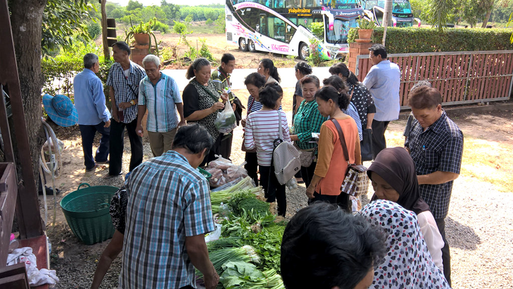 ภาพที่ 12