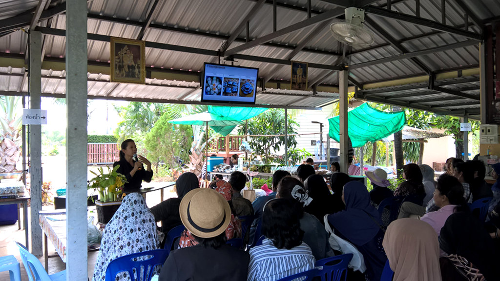ภาพที่ 4