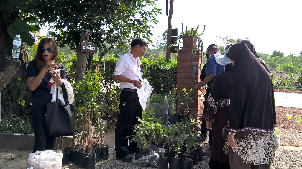 ภาพที่ 11