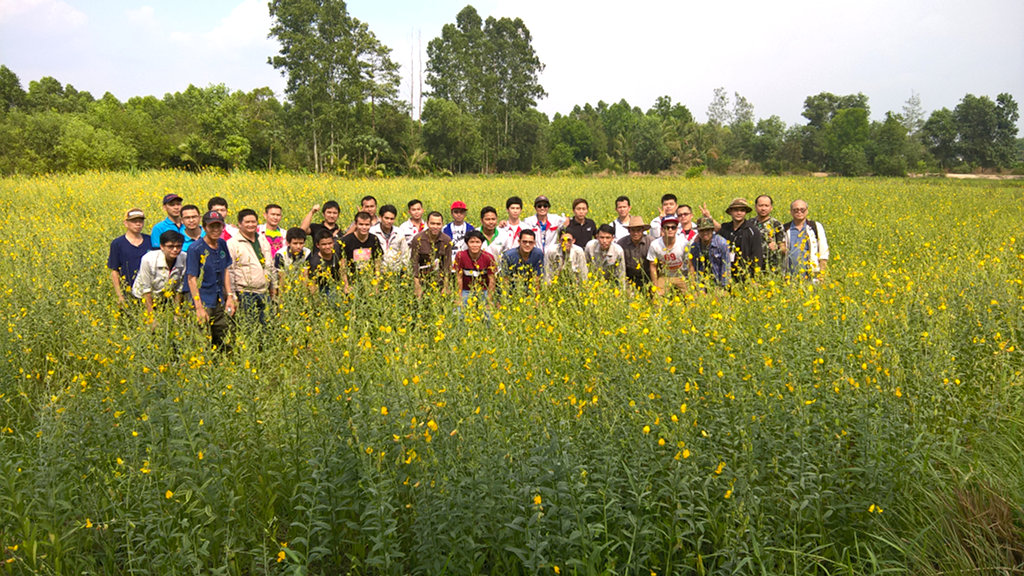 ภาพที่ 11