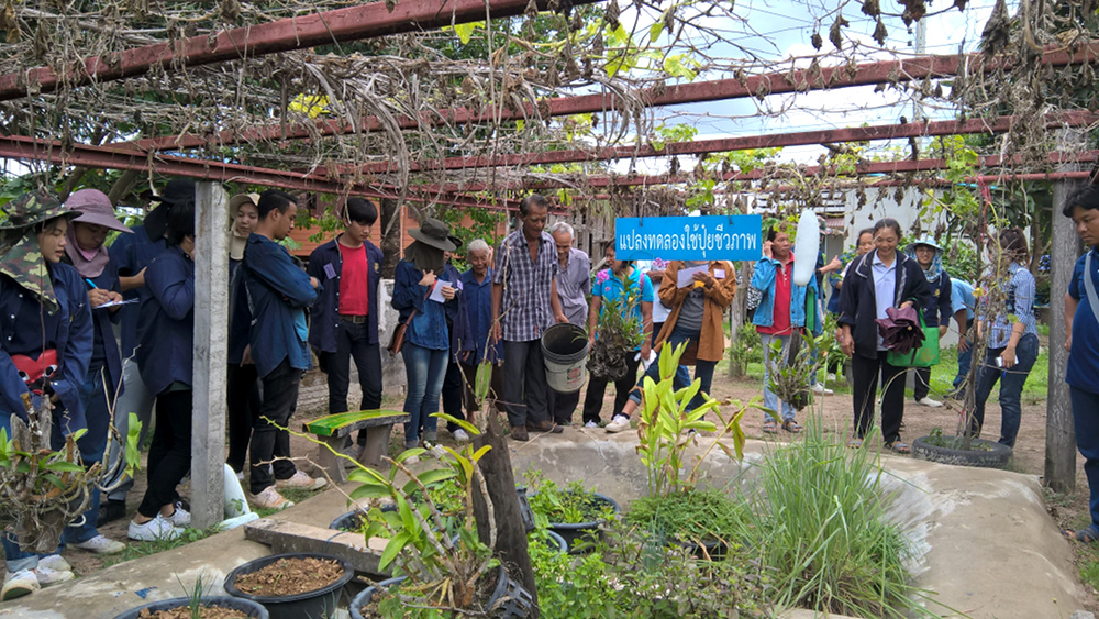 ภาพที่ 4