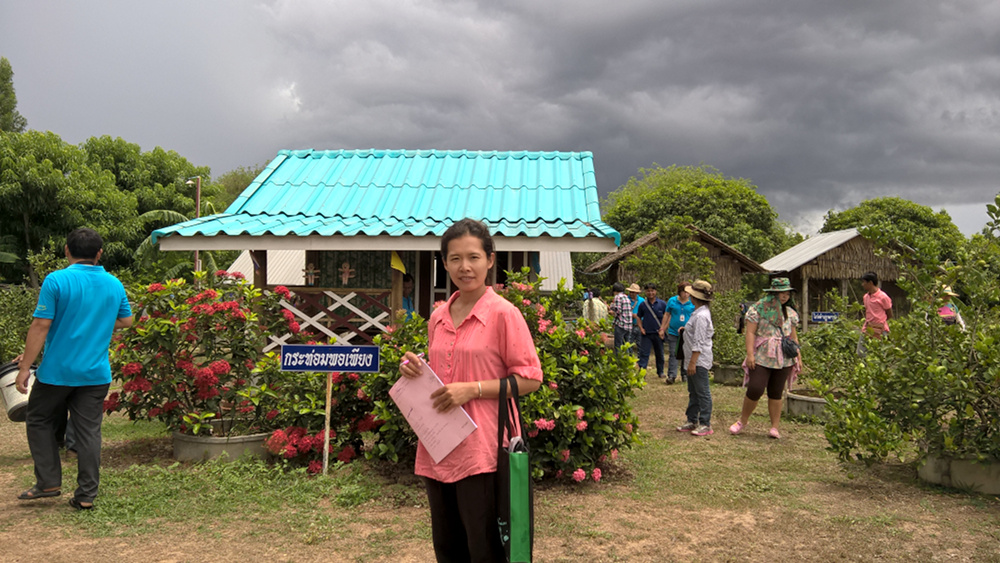 ภาพที่ 6