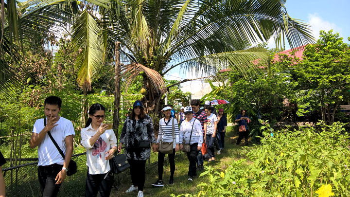 ภาพที่ 4