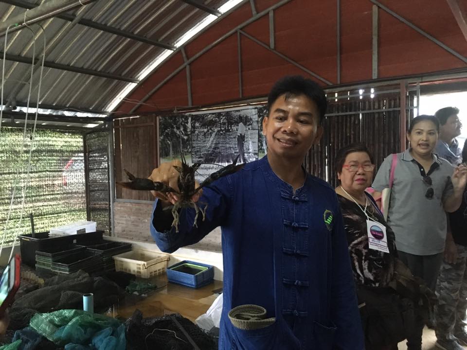 ภาพที่ 11