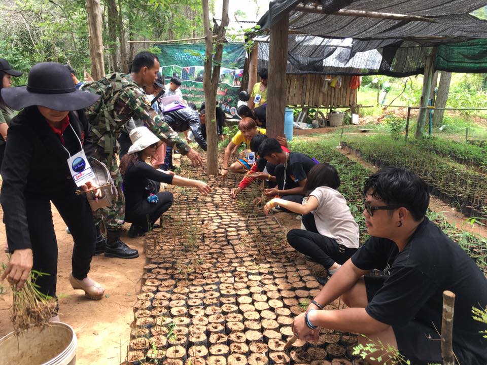 ภาพที่ 5