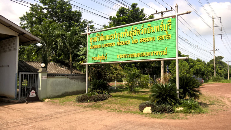 ภาพที่ 1