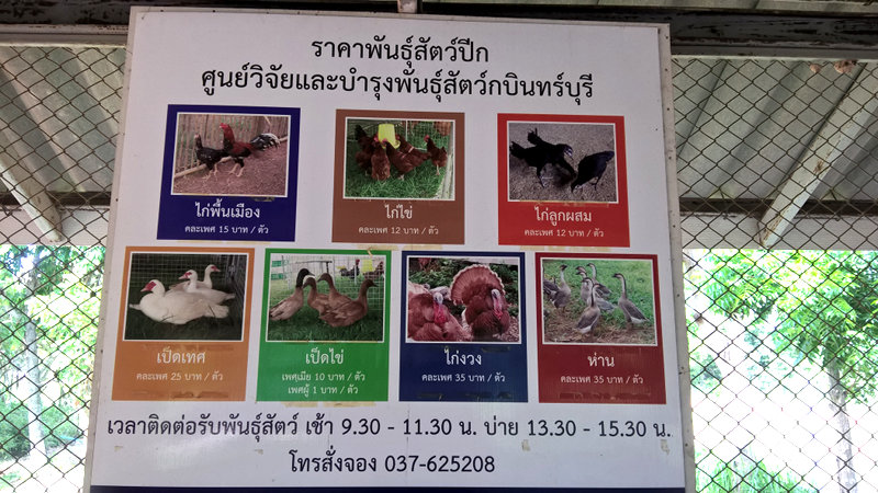 ภาพที่ 3