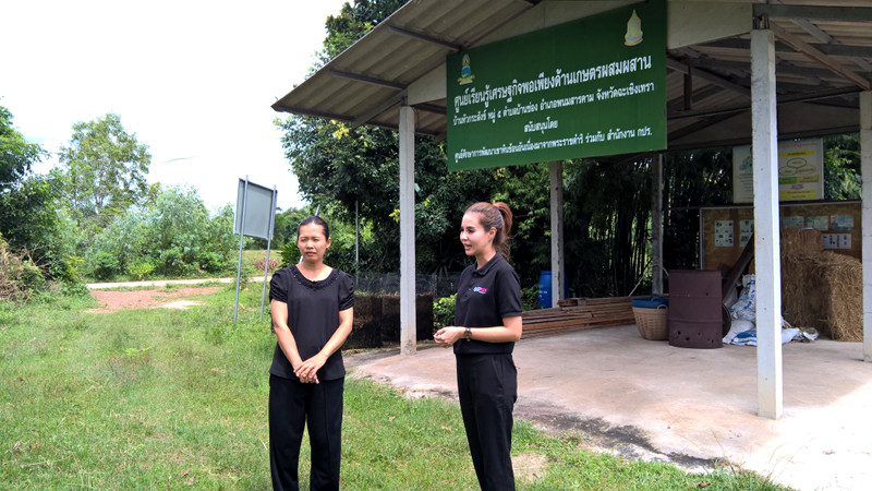 ภาพที่ 3