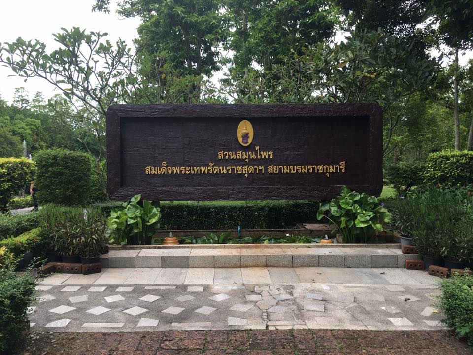ภาพที่ 7