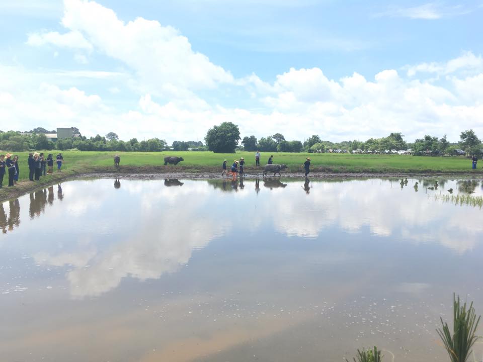 ภาพที่ 2