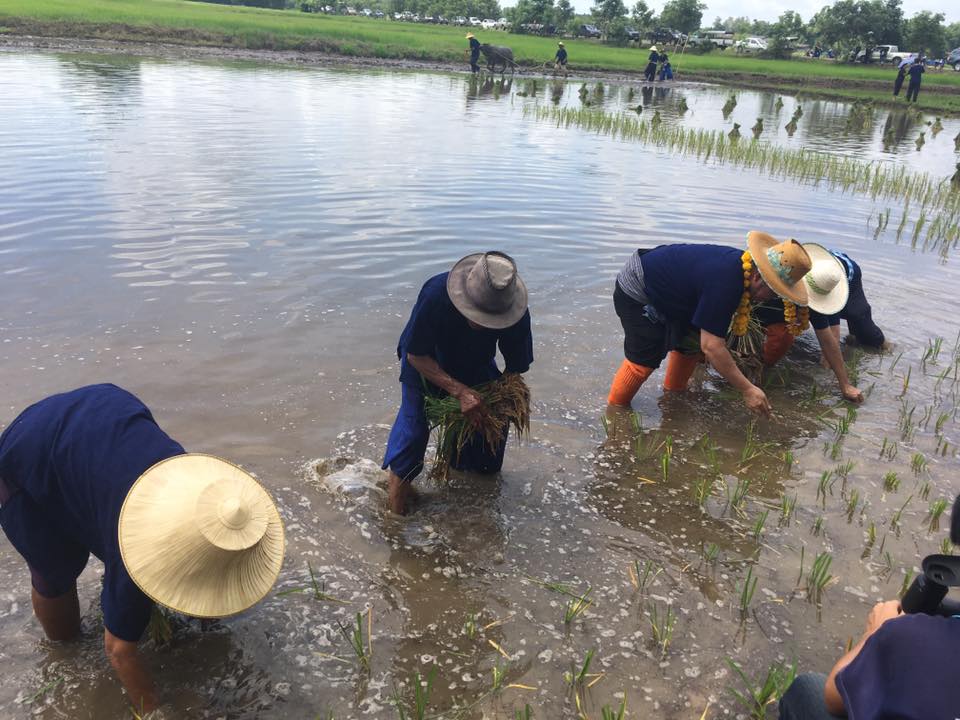 ภาพที่ 3