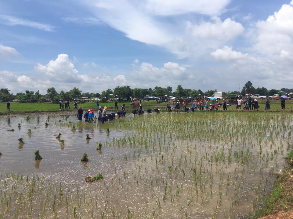ภาพที่ 4