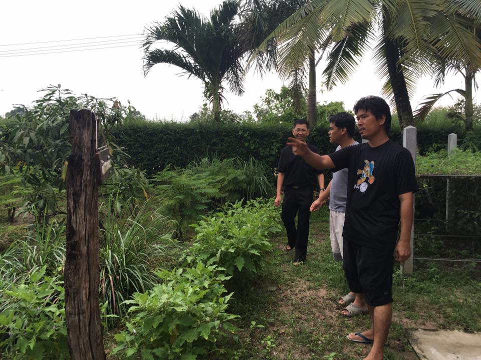 ภาพที่ 4