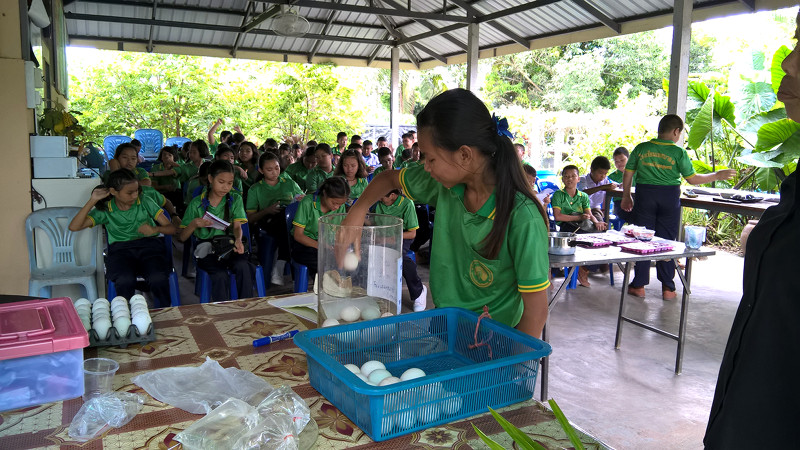 ภาพที่ 6