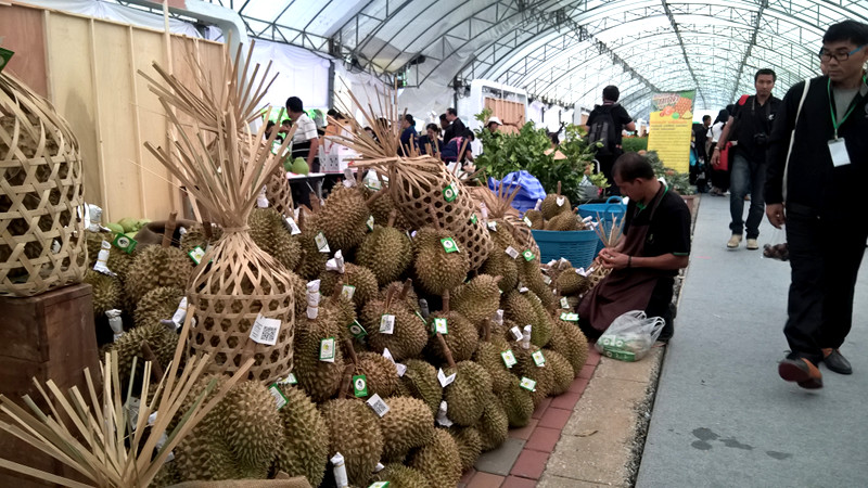 ภาพที่ 6