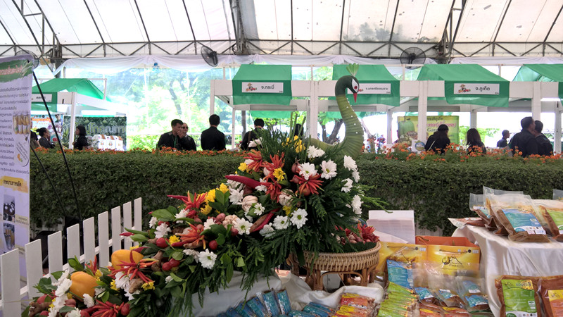 ภาพที่ 8