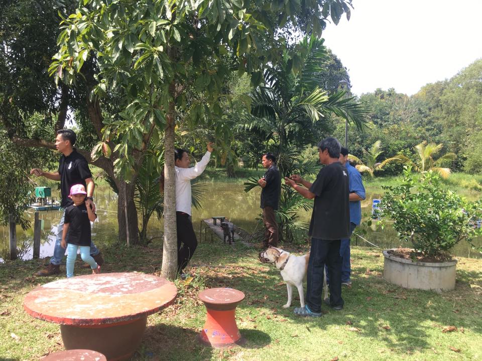 ภาพที่ 3