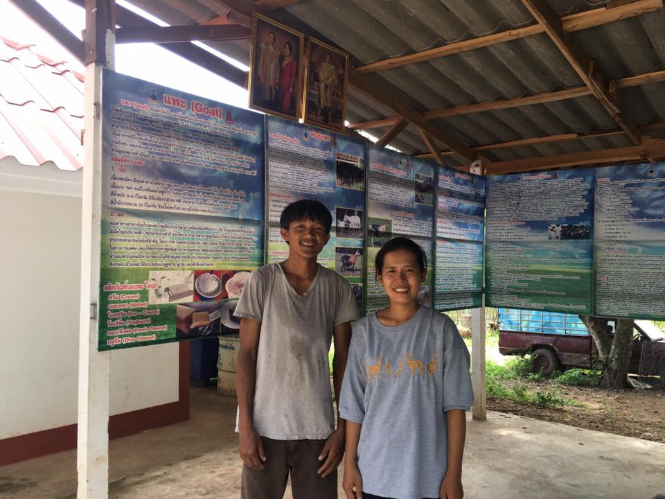 ภาพที่ 1