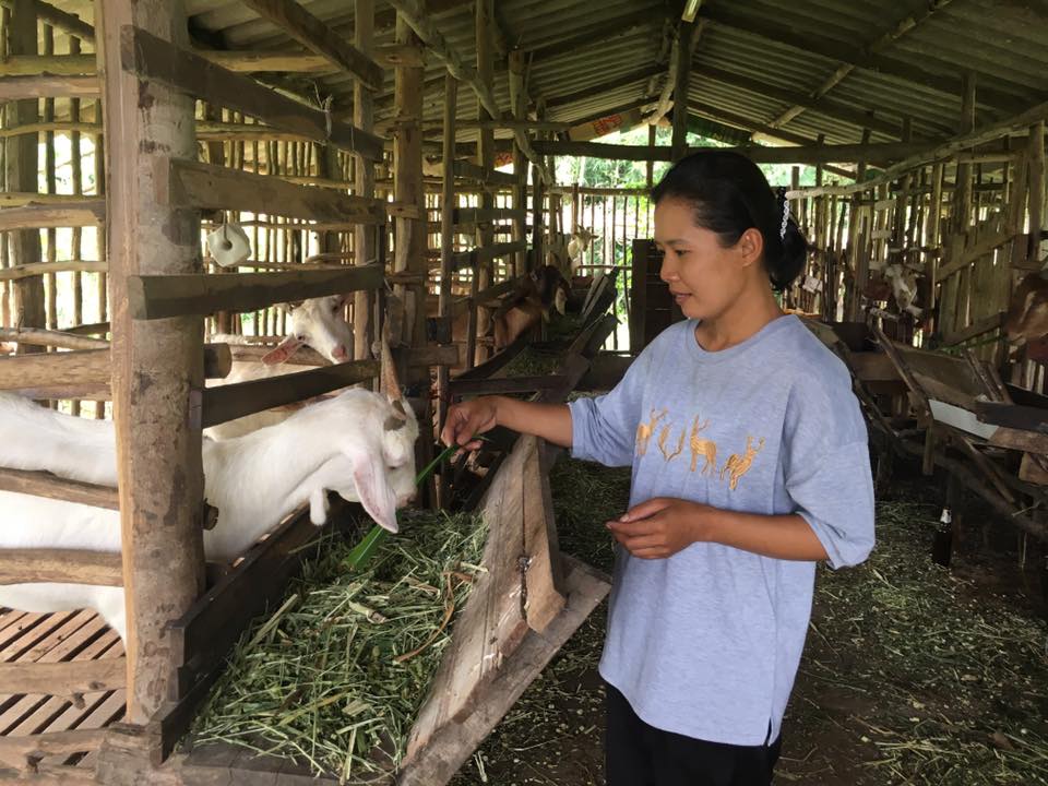 ภาพที่ 2