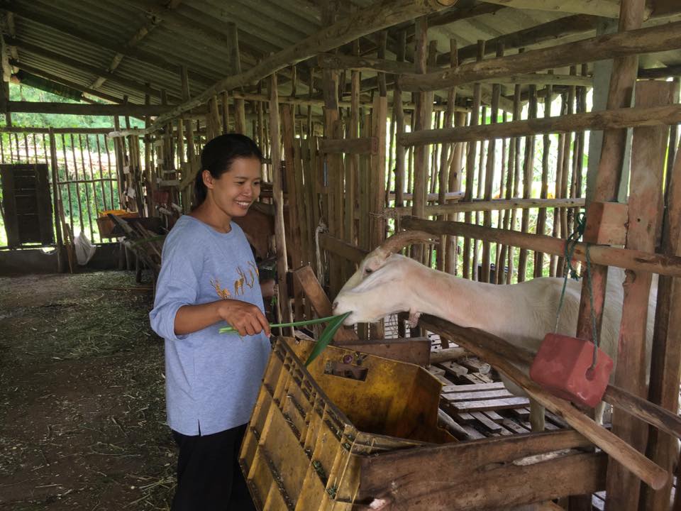 ภาพที่ 3