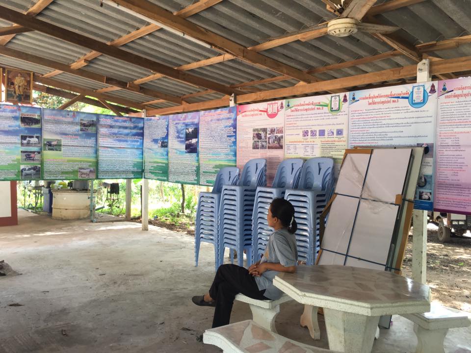 ภาพที่ 4