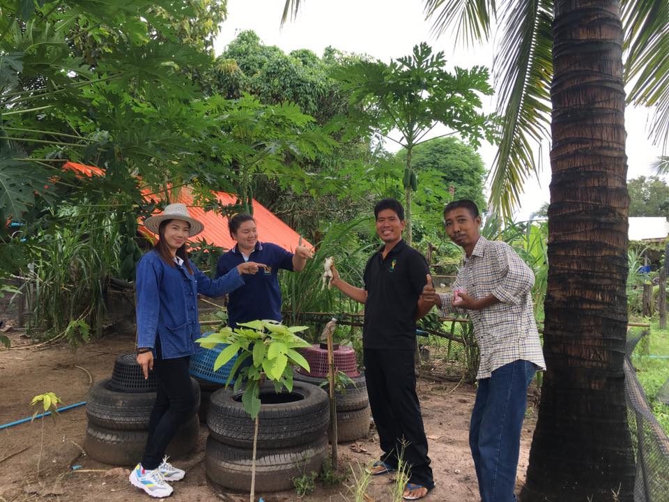 ภาพที่ 3