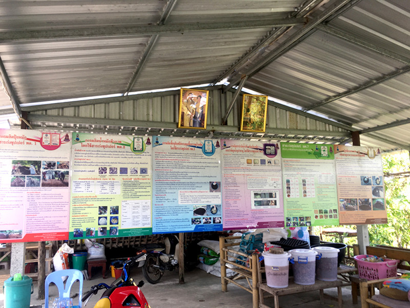 ภาพที่ 2
