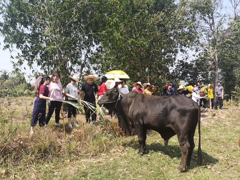 ภาพที่ 1