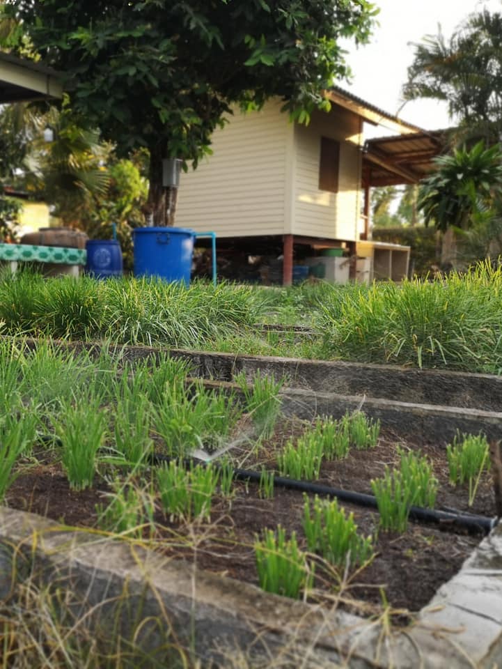 ภาพที่ 6