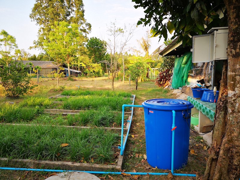 ภาพที่ 1