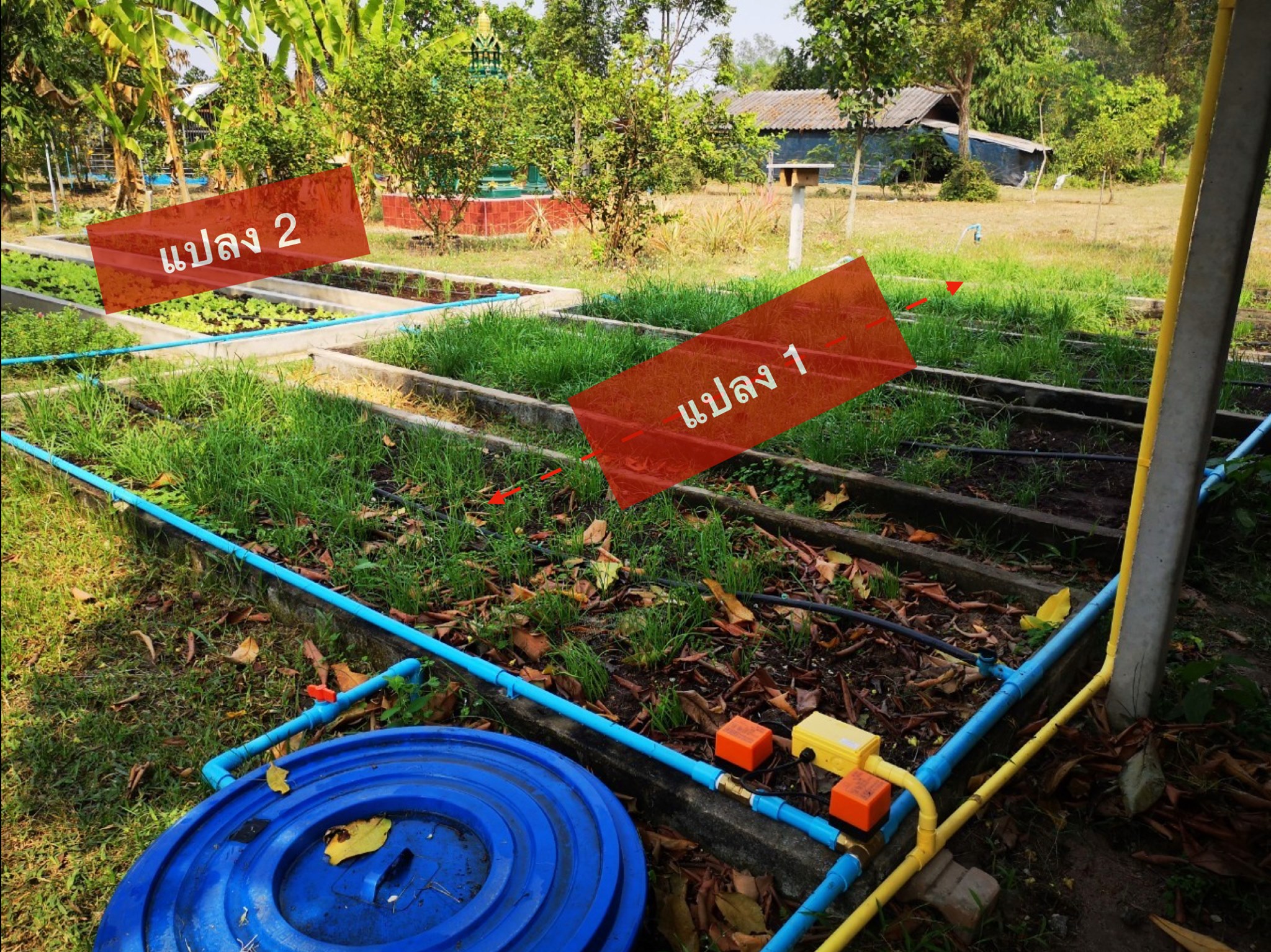 ภาพที่ 6