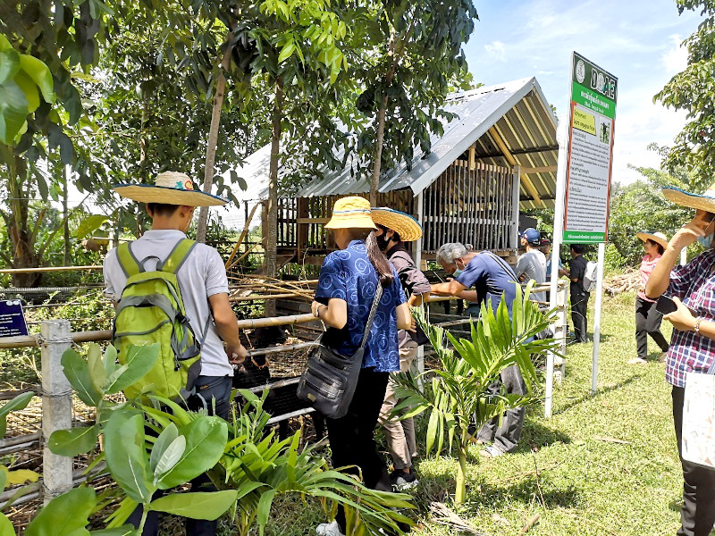 ภาพที่ 4