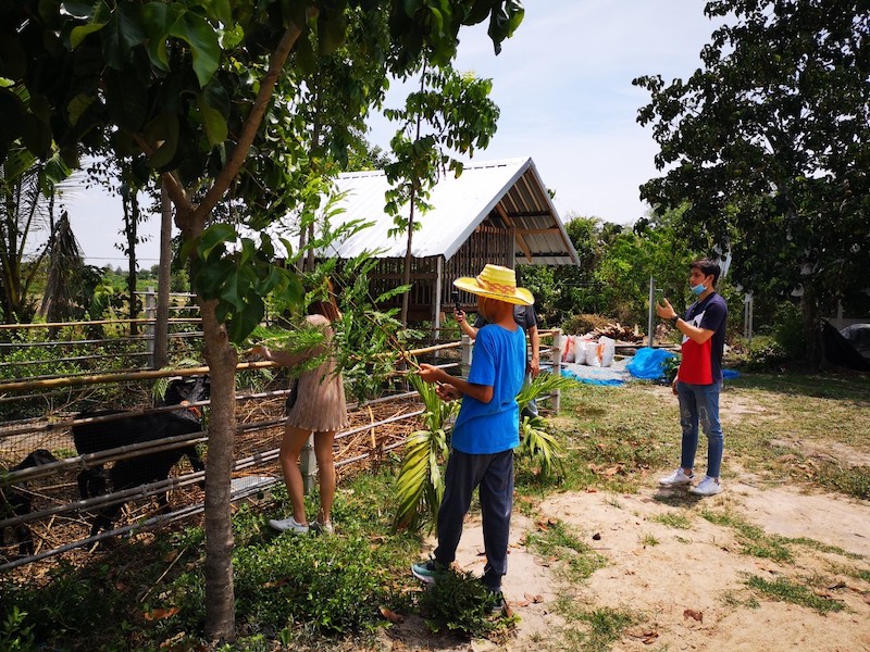 ภาพที่ 1