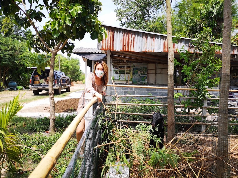 ภาพที่ 2