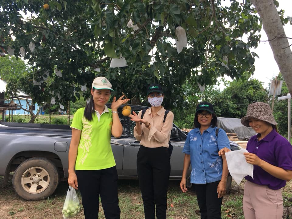 ภาพที่ 4