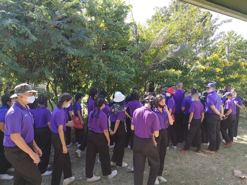 ภาพที่ 9