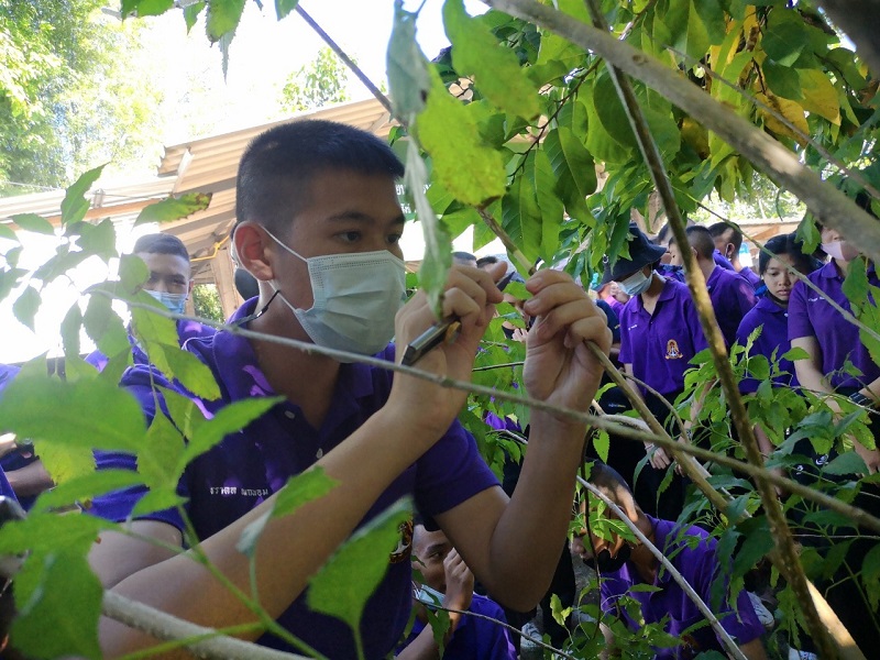 ภาพที่ 10
