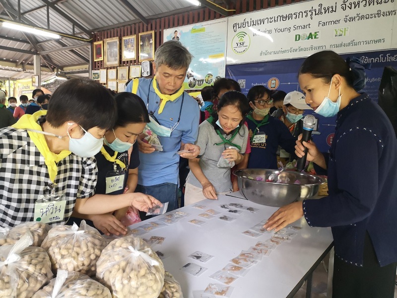 ภาพที่ 17