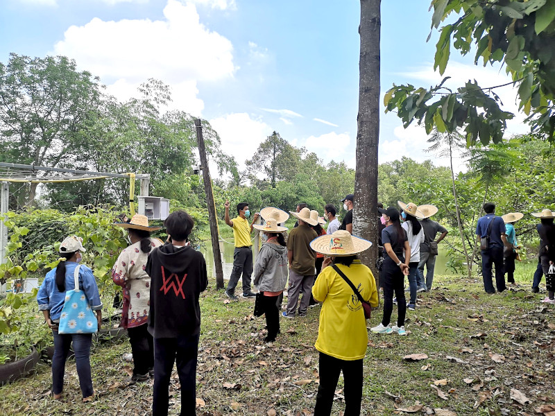 ภาพที่ 8