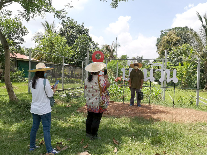 ภาพที่ 12