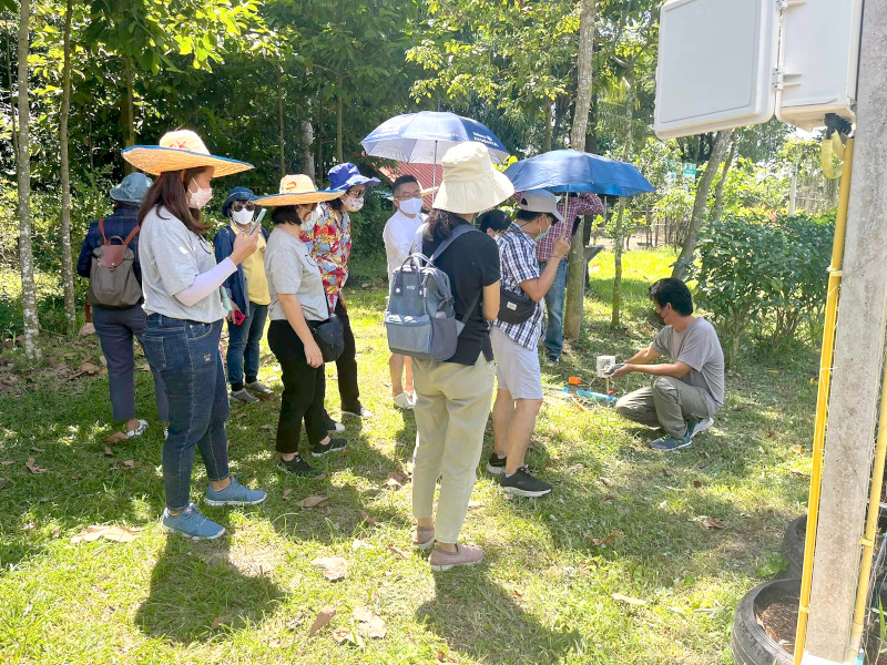ภาพที่ 5