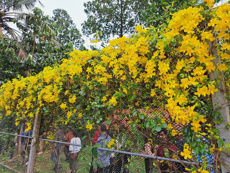 ภาพที่ 3